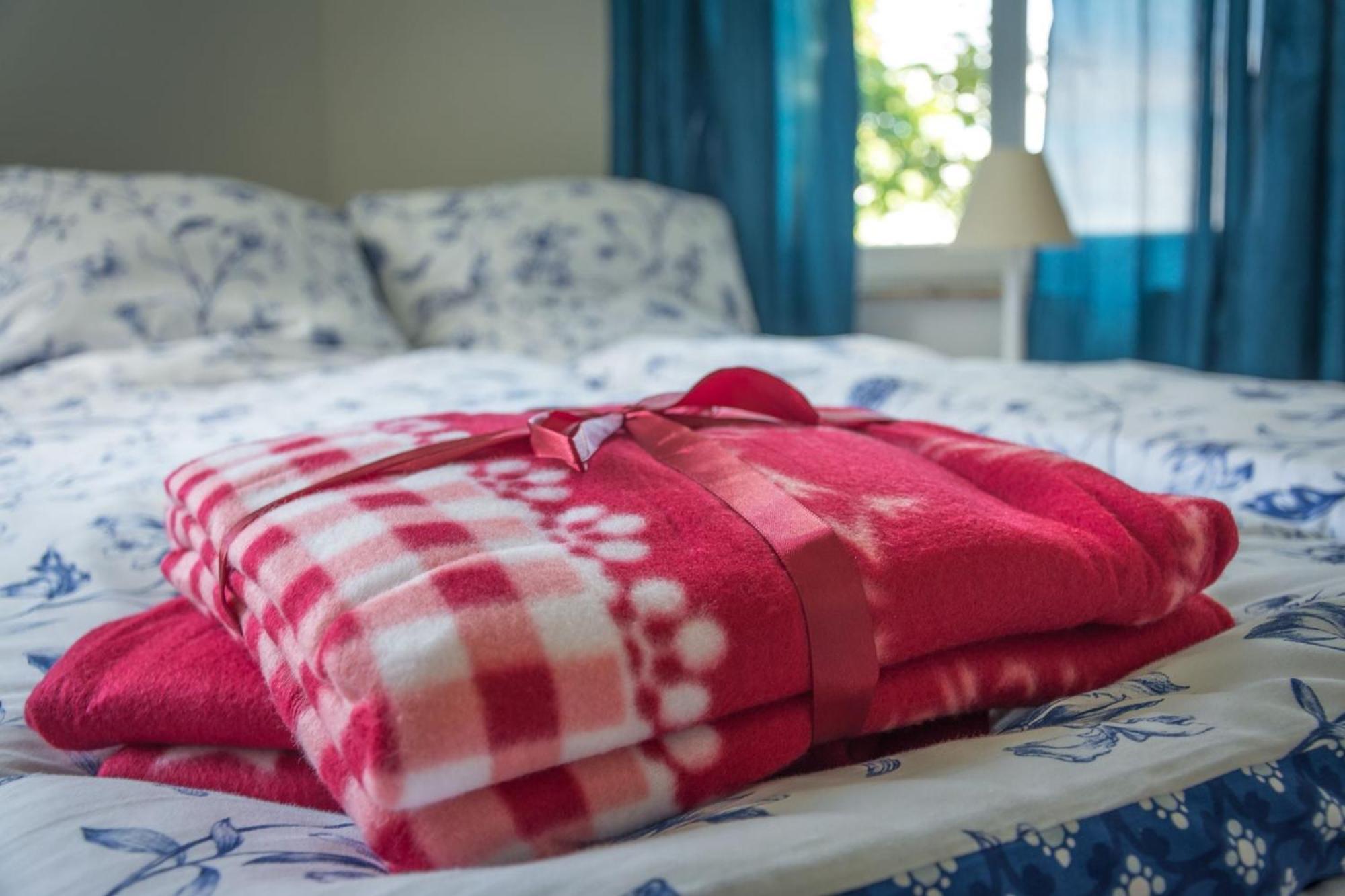 Ferienwohnung Fischersfru Flensburg Buitenkant foto
